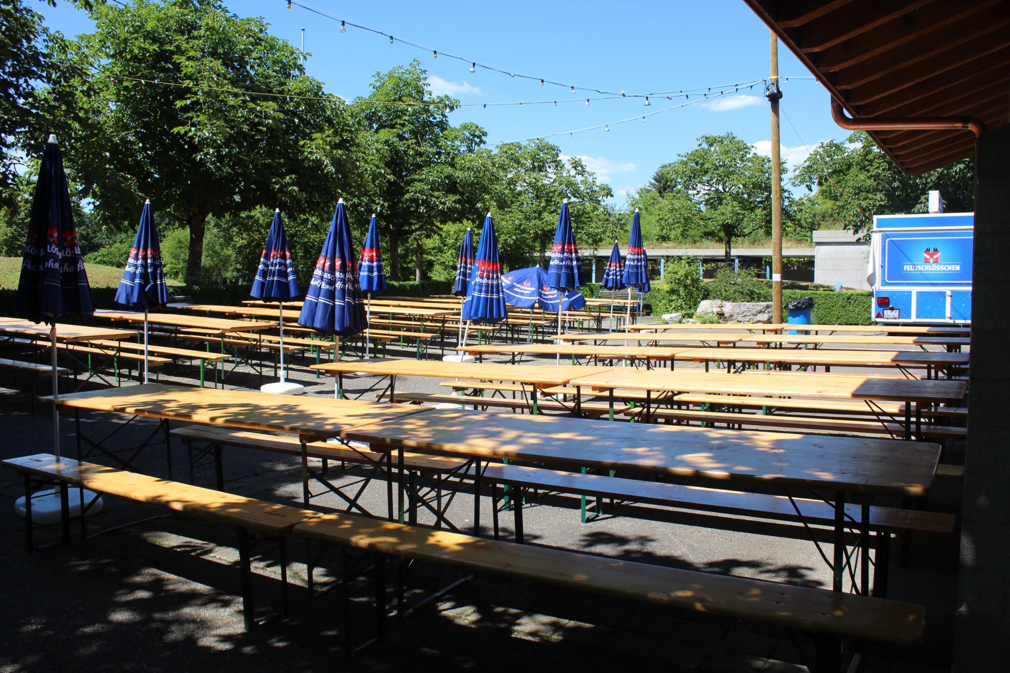 Bild (3)